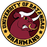 UB Brahmans